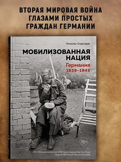 Мобилизованная нация. Германия 1939–1945 - фото 4