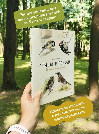 Птицы в городе. Где найти и как узнать - фото 5