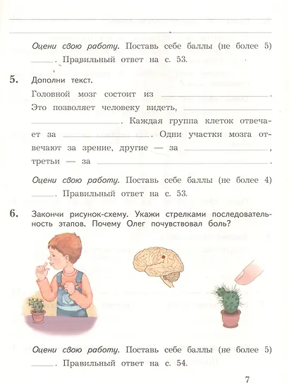 Окружающий мир. 4 класс. Тетрадь для проверочных работ №1 - фото 4