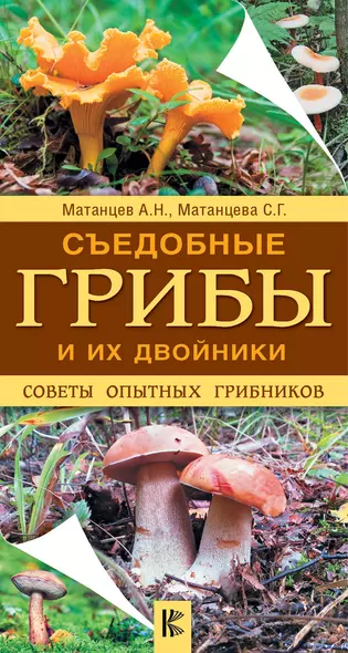 Съедобные грибы и их двойники. Советы опытных грибников - фото 1