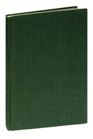 Рядом с Зимним - фото 1