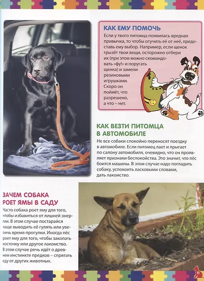Собаки. Детская энциклопедия - фото 6