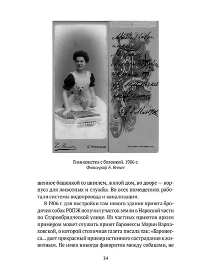 Собаки в городах. Жизнь собак в истории, искусстве и обществе - фото 4