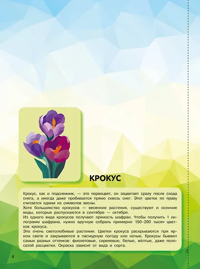 Дивный сад - фото 7