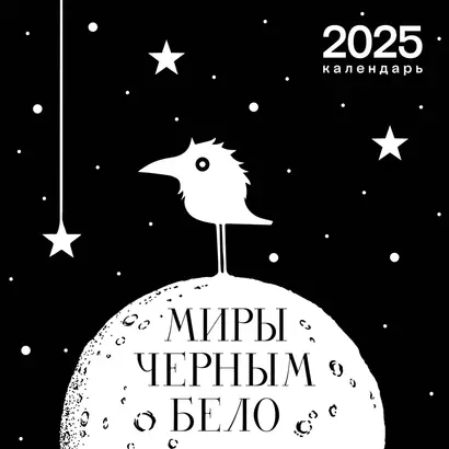 Календарь 2025г 300*300 "Миры Черным-бело" настенный, на скрепке - фото 1