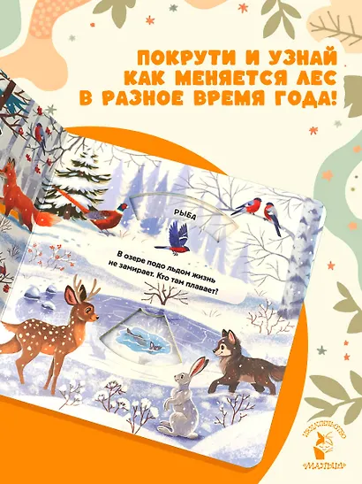 Времена года - фото 4