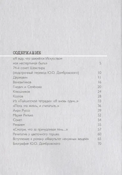 Поэт и Муза - фото 2