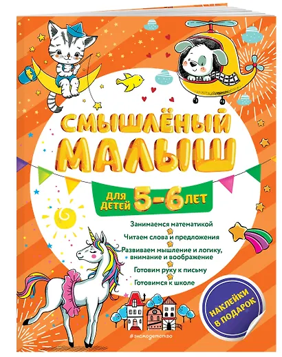 Смышлёный малыш: для детей 5-6 лет (с наклейками) - фото 3
