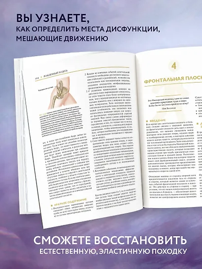 Рожденный ходить. Миофасциальная эффективность: революция в понимании механики движения - фото 5