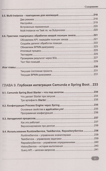 Spring, Spring Boot и Camunda в одном стеке: разработка, тестирование и деплой приложений + виртуальный диск с приложением, кодом и примерами - фото 11
