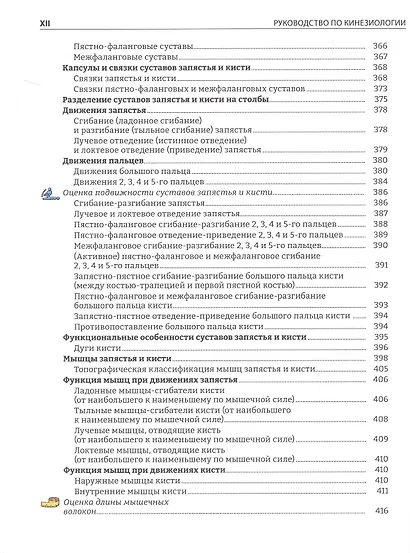 Руководство по кинезиологии. Функциональная анатомия. Биомеханика. Оценка состояния суставов и мышц - фото 15