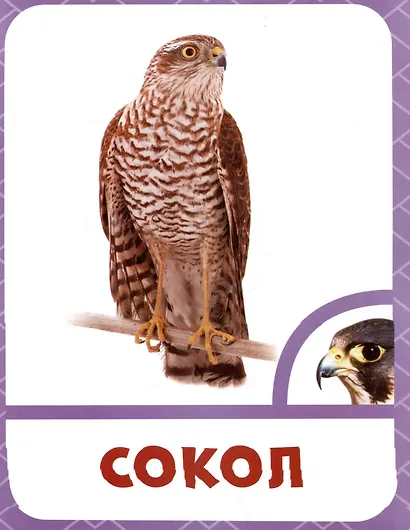 Птицы - фото 3