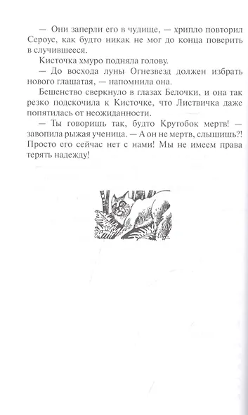 Новое пророчество. Кн.3. Рассвет - фото 4