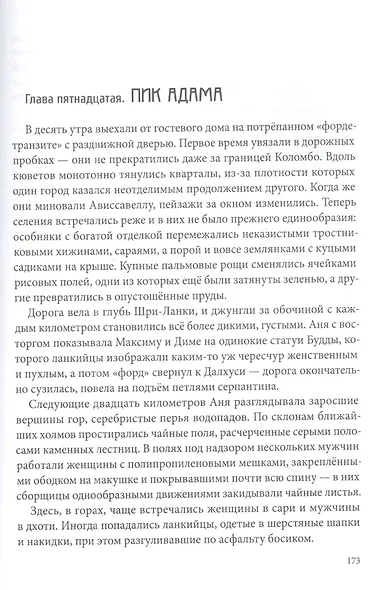 Город Солнца. Книга 2. Стопа бога - фото 5