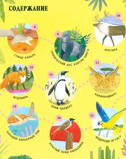 Удивительные животные и где они обитают - фото 6