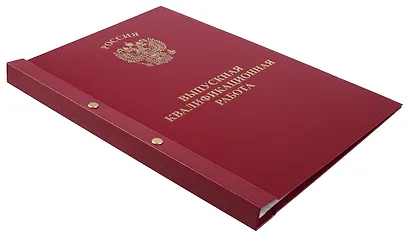 Обложка "Выпускная квалификационная работа" ассорти, 2 отверстия, бумвинил - фото 6