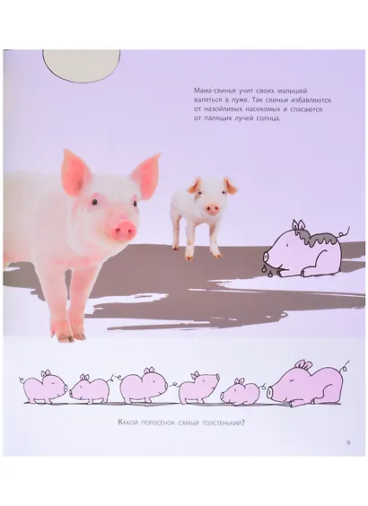 Это мой малыш! Детеныши разных животных - фото 5