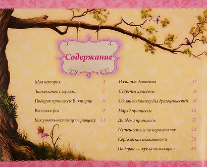 Настольная книга принцессы - фото 2