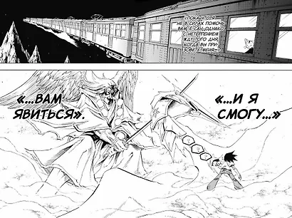 Король шаманов. Том 14 (Shaman King). Манга - фото 2