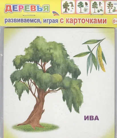 Обучающие карточки. Деревья - фото 1