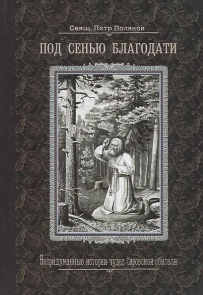 Под сенью благодати. Непридуманные истории чудес Саровской обители - фото 1
