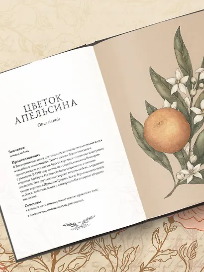 Флориография. Карманное руководство по викторианскому языку цветов - фото 9