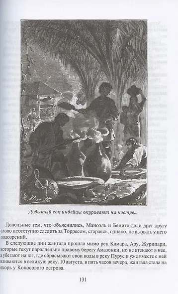 Жангада, или 800 лье по Амазонке - фото 6