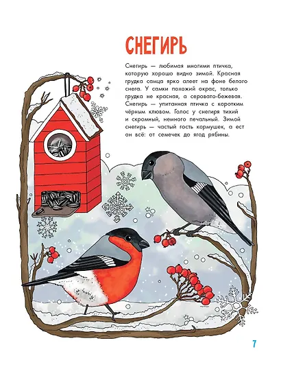 Птицы - фото 11