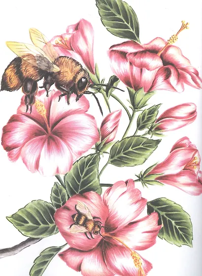 Насекомые и паукообразные - фото 2