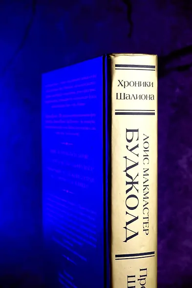 Проклятие Шалиона - фото 9