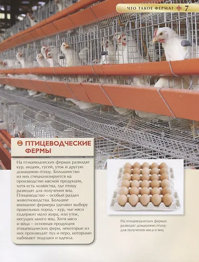 Животные фермы. Детская энциклопедия (новая обл.) - фото 3