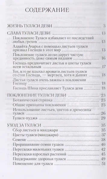 Поклонение туласи - фото 2