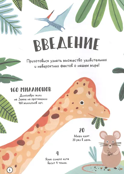 Сколько пятен у гепарда? - фото 6