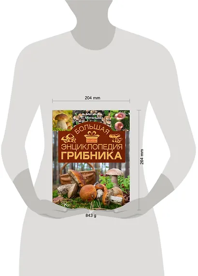 Большая энциклопедия грибника - фото 3
