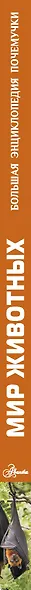 Мир животных - фото 12