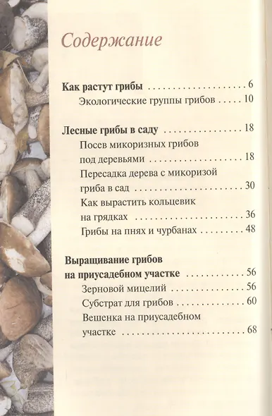 Грибы.Выращивание для себя и на продажу - фото 2