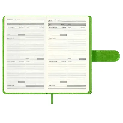Ежедневник недат. А6+ 120л 110x190 "Тиволи" зеленый, кожзам, тв.переплет, тисн.фольгой, магнит.клапан, офсет, загругл.углы, справ.мат-лшы, ляссе, инд.уп - фото 9