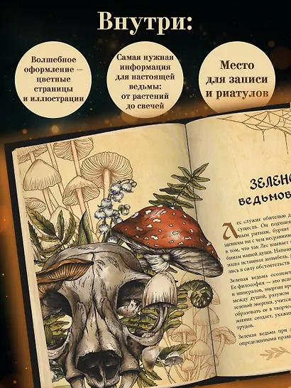 Гримуар зеленой магии. Заклинания, ритуалы и талисманы - фото 5