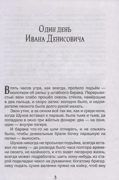 Матренин двор. Один день Ивана Денисовича: рассказы - фото 3