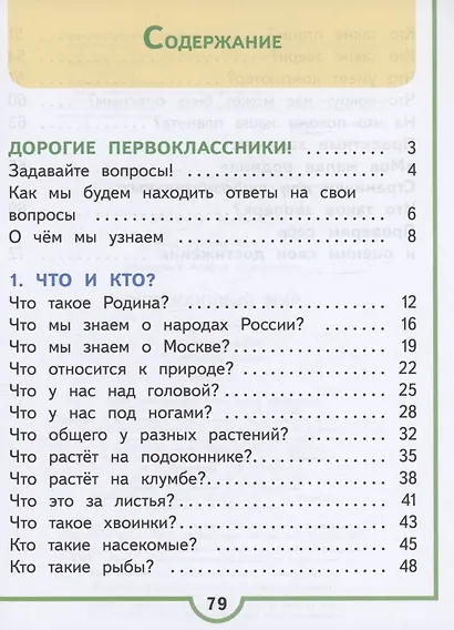 Окружающий мир. 1 класс. Учебное пособие. В 4 частях. Часть 1 (для слабовидящих обучающихся) - фото 2