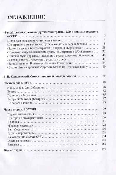 Испанская грусть. Голубая дивизия и поход в Россию, 1941-1942 гг. Воспоминания В.И. Ковалевского - фото 2
