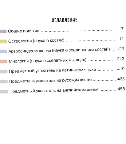 Анатомия человека: атлас: в 3-х томах. Том 1. Остеология, артросиндесмология, миология - фото 2