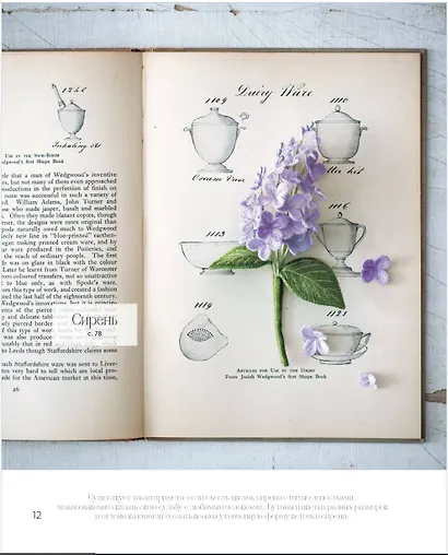 Японская объемная вышивка. Великолепные цветы - фото 7