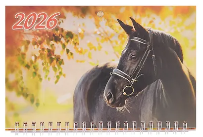 Календарь квартальный 2026г 195*465 "Год Лошади. Вид 3" настенный, трёхблочный, спираль - фото 2