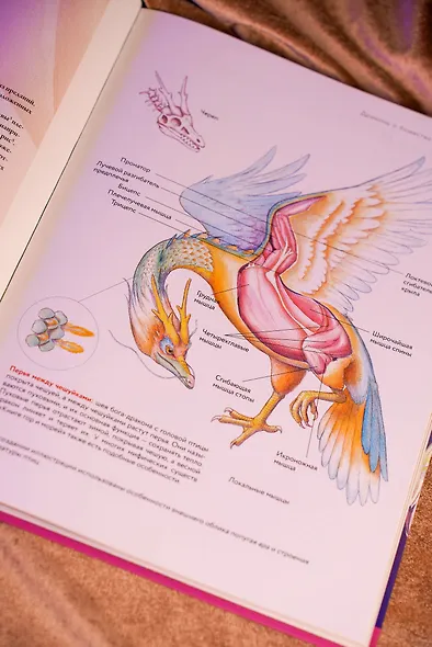 Бестиарий китайской мифологии. Книга гор и морей. С дополненной реальностью - фото 6