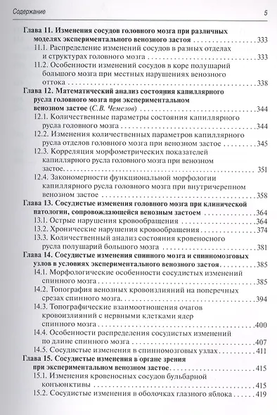Венозное русло центральной нервной системы. - фото 4