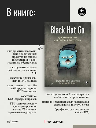 Black Hat Go: Программирование для хакеров и пентестеров - фото 4