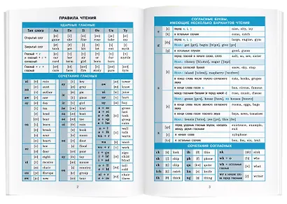 Английский язык. 5-11 классы. Справочник в таблицах - фото 4