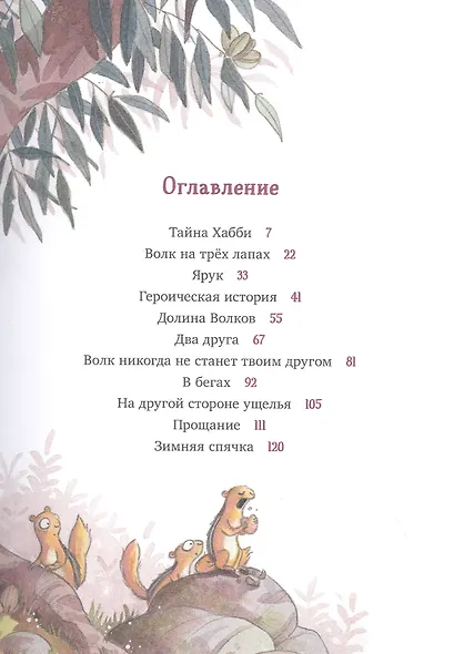 Друг, непохожий на других - фото 4