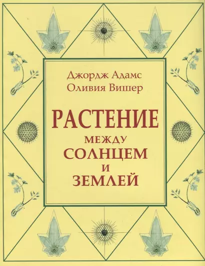 Растение между солнцем и землей - фото 1